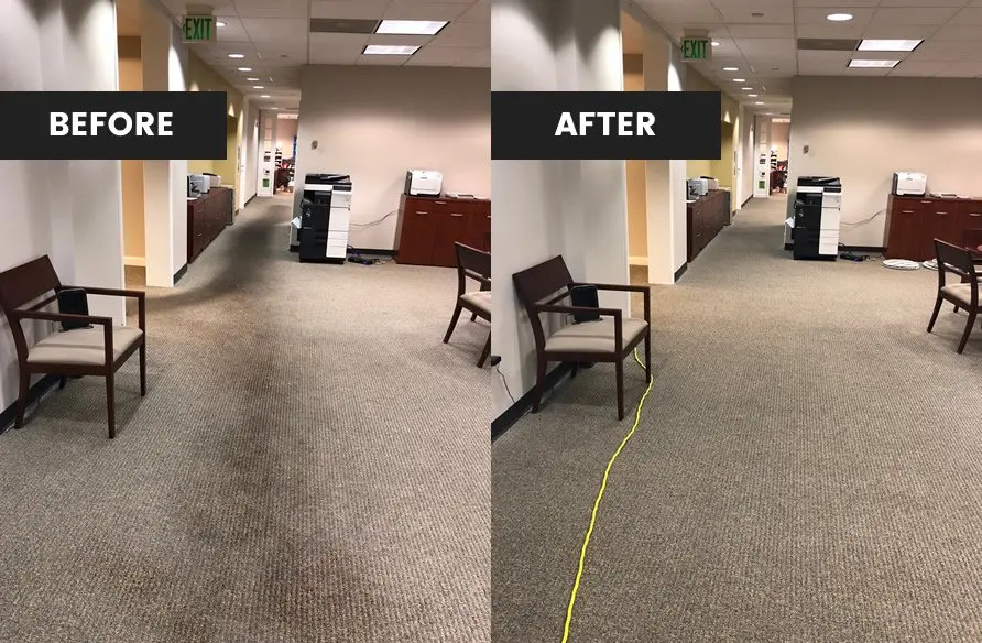 Carpet Cleaning Johor Bahru